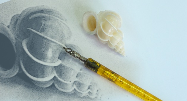 Preloader Slide Image